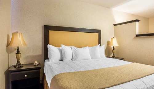Suite, 1 cama de matrimonio grande con sofá cama