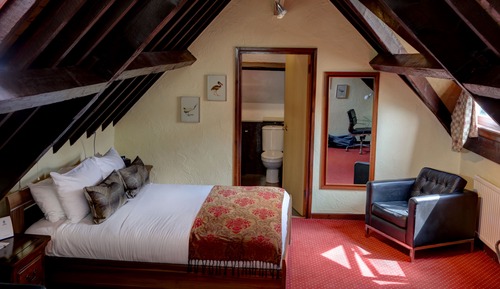 Habitación estándar, 1 cama doble, no fumadores