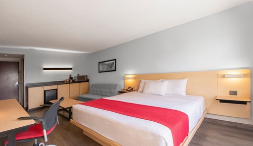Suite, 1 cama de matrimonio grande con sofá cama
