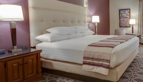 Habitación Deluxe, 1 cama de matrimonio grande, frigorífico y microondas