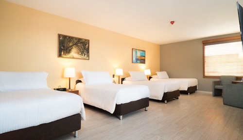 Habitación cuádruple estándar