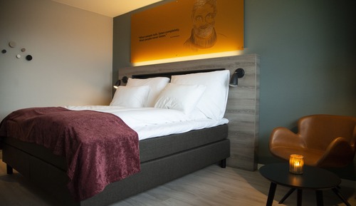 Habitación doble, 1 cama de matrimonio (Queen bed)
