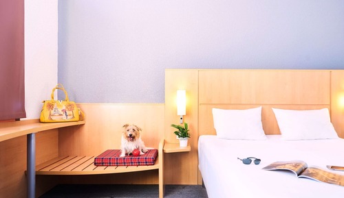 Habitación estándar doble, 1 cama doble