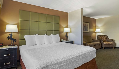 Habitación estándar, 1 cama de matrimonio grande, no fumadores, balcón