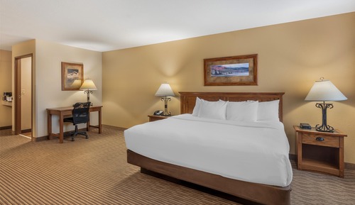 Habitación Business, 1 cama de matrimonio grande, no fumadores, frigorífico y microondas