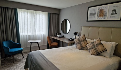 Habitación estándar, 1 cama doble