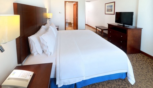Habitación estándar, 1 cama de matrimonio grande