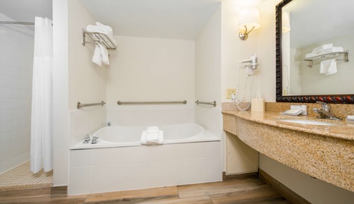 Suite, 1 cama de matrimonio grande (Mobility & Hearing, Roll-in Shower)