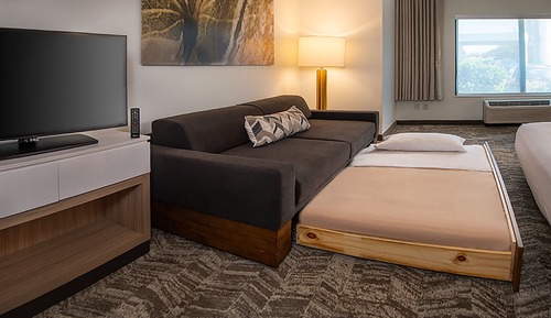 Suite, 1 cama de matrimonio grande con sofá cama