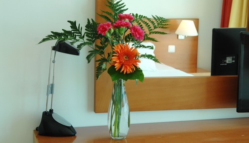 Habitación estándar con 1 cama doble o 2 individuales