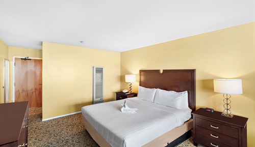 Habitación estándar, 1 cama de matrimonio grande