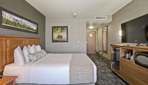 Habitación estándar, 1 cama de matrimonio grande