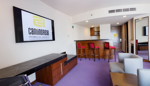 Suite junior