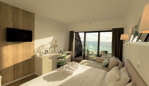 Habitación básica con 1 cama doble o 2 individuales