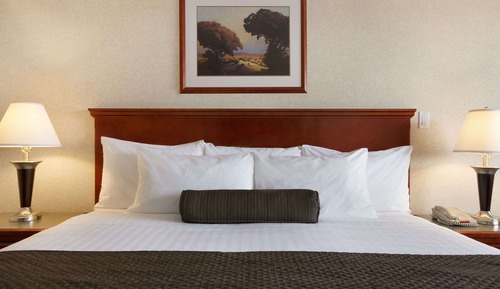 Upgraded, Suite, 1 cama de matrimonio grande con sofá cama, no fumadores, bañera de hidromasaje