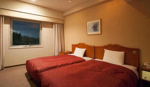 Suite junior, 2 camas individuales, no fumadores