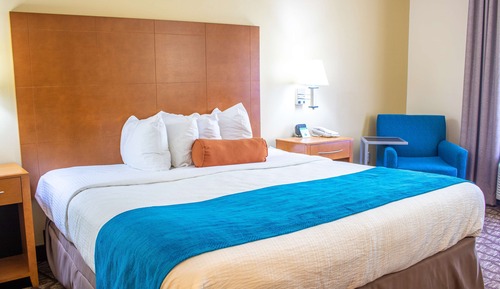 Habitación estándar, 1 cama de matrimonio grande, no fumadores, frigorífico y microondas