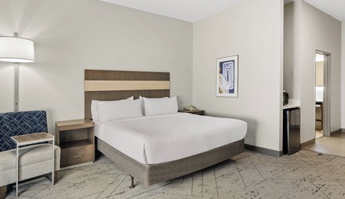 Habitación estándar, 1 cama de matrimonio grande
