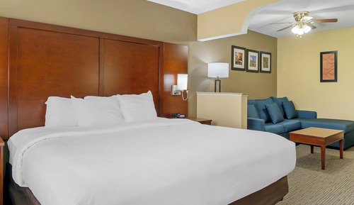 Suite Deluxe, 1 cama de matrimonio grande, no fumadores