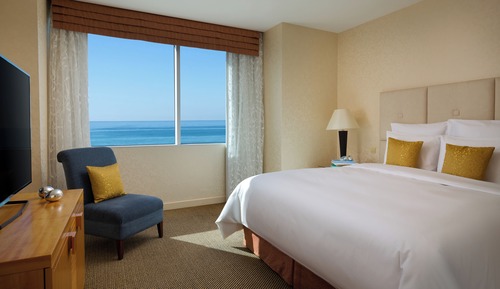 Suite Business, 1 cama de matrimonio grande, no fumadores