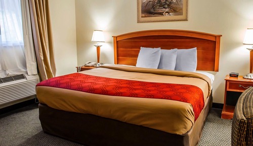 Habitación estándar, 1 cama de matrimonio grande, fumadores