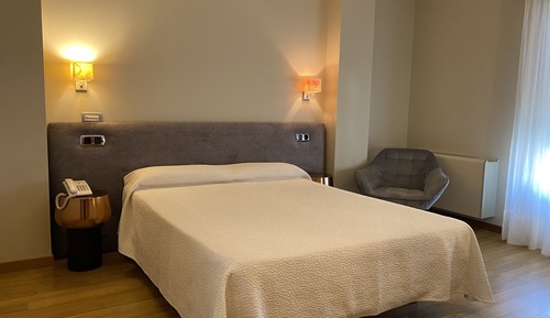Habitación estándar con 1 cama doble o 2 individuales