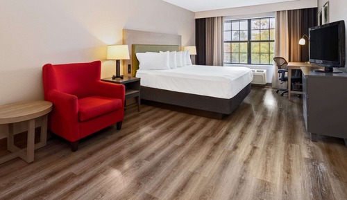Suite estudio, 1 cama de matrimonio grande, no fumadores