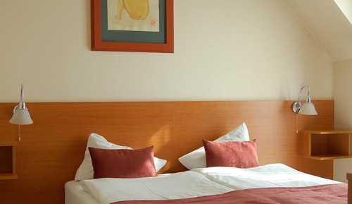 Habitación estándar con 1 cama doble o 2 individuales