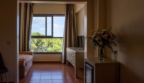 Habitación clásica (3 Adults)
