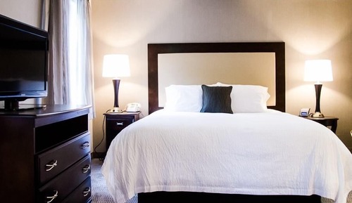Habitación individual estándar, 1 cama de matrimonio grande con sofá cama, cocina básica