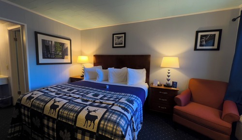 Habitación doble, 1 cama de matrimonio grande, no fumadores, vistas a la piscina