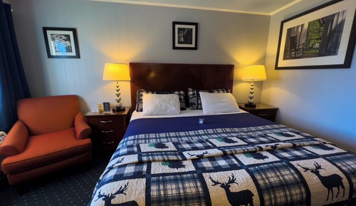 Habitación doble, 1 cama de matrimonio grande, vistas parciales al lago, entresuelo