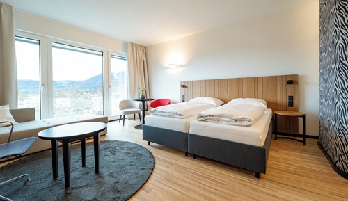 Habitación estándar con 1 cama doble o 2 individuales