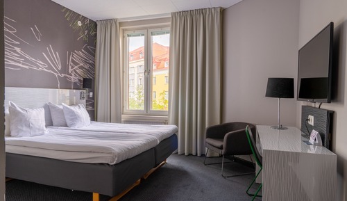 Habitación estándar, 1 cama doble, no fumadores