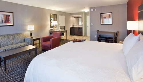 Suite estudio ejecutiva, 1 cama de matrimonio grande con sofá cama