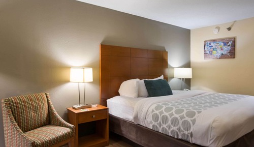 Habitación estándar, 1 cama de matrimonio grande, no fumadores