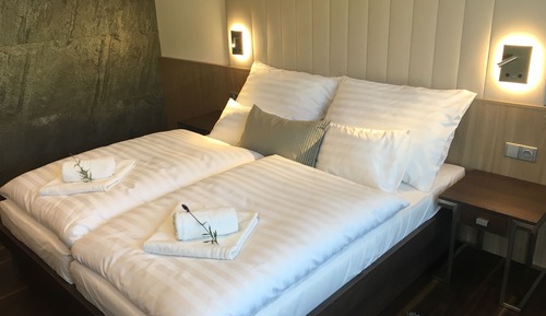 Habitación Deluxe con 1 cama doble o 2 individuales
