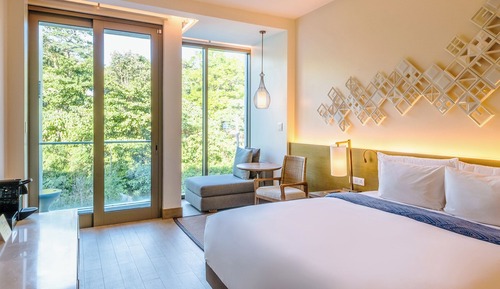 Habitación Deluxe con 1 cama doble o 2 individuales
