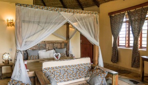 Bungalow Premium
