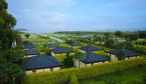 Suite junior, vistas al jardín