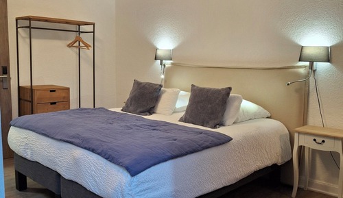 Habitación Confort con 1 cama doble o 2 individuales