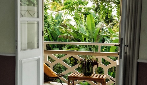 Cacao Panoramic