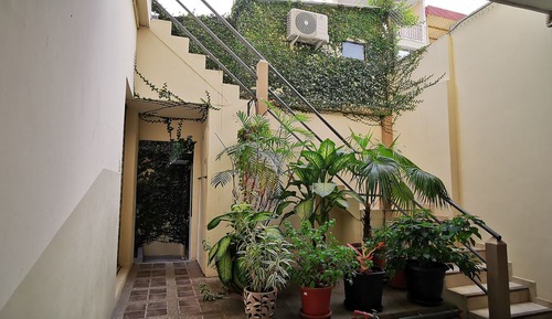 Habitación individual ejecutiva
