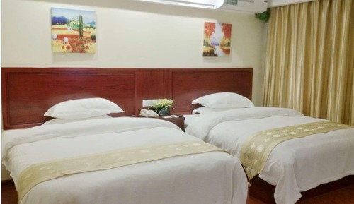 Habitación estándar con 2 camas individuales