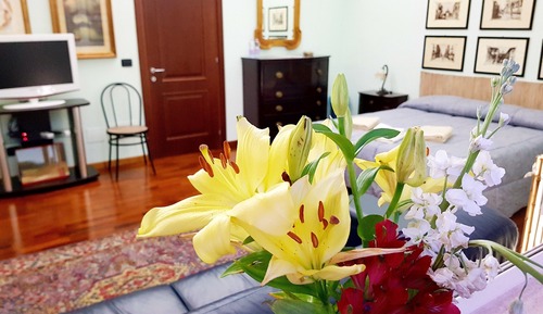 Habitación cuádruple Confort, 2 camas de matrimonio, baño privado, vistas al jardín
