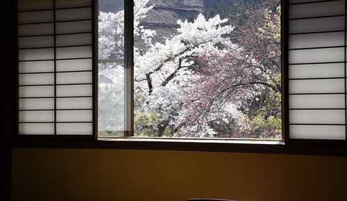 Habitación tradicional, baño compartido (Japanese Style - 10 Tatami-mats)