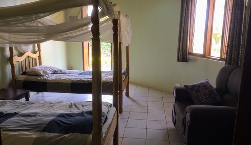 Habitación Deluxe con 1 cama doble o 2 individuales, vistas a la piscina