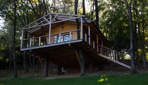 Casa en un árbol