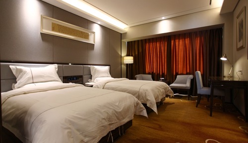 Habitación Business con 2 camas individuales