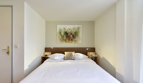 Habitación estándar doble, 1 cama de matrimonio